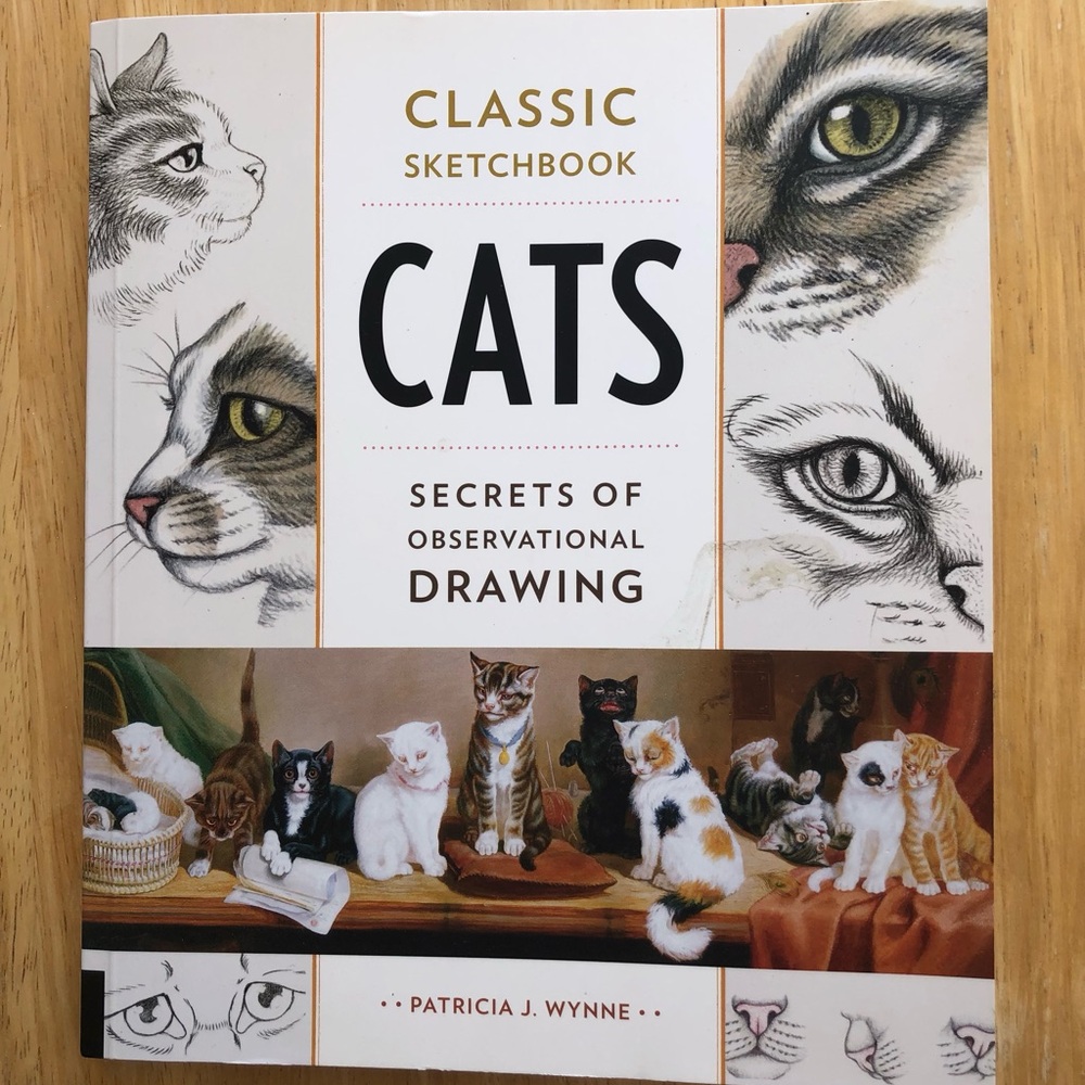 Cats: Secrets of Observational Drawing